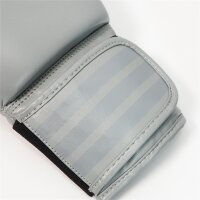adidas Speed 50 silver/grey