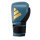 adidas Power 50 Training Gloves dusty petrol/gold